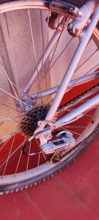 Bicicleta junior galvanizado en gris.