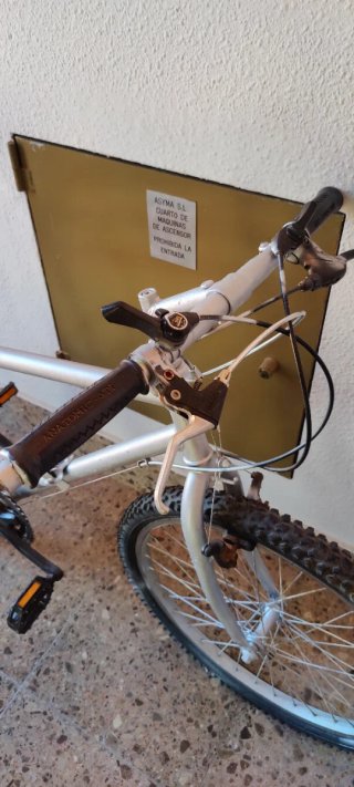 Bicicleta junior galvanizado en gris.