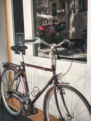 Bicicleta Gazelle Cayó L