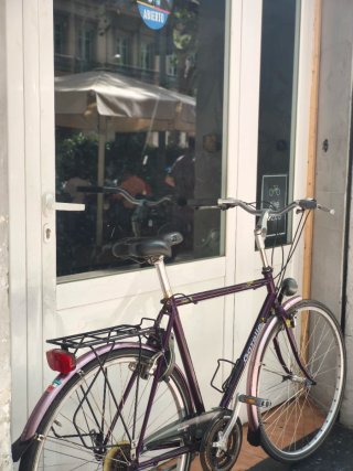 Bicicleta Gazelle Cayó L