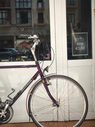Bicicleta Gazelle Cayó L