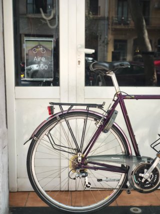 Bicicleta Gazelle Cayó L