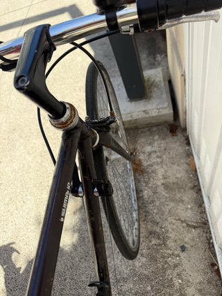 Bicicleta Negra