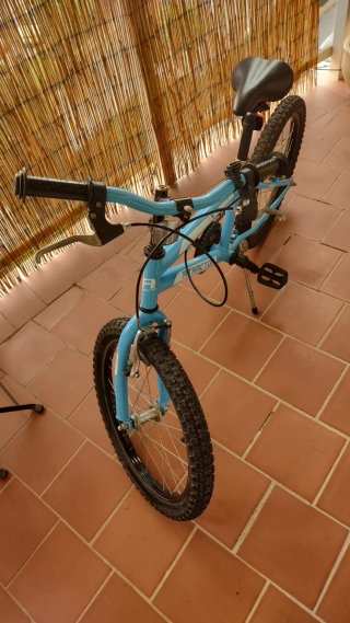 Bicicleta Infantil Rodado 20