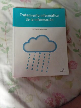 Tratamiento informático de la información