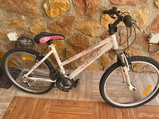 Bicicleta montaña Stylin 21 velocidades
