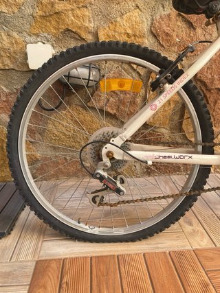 Bicicleta montaña Stylin 21 velocidades