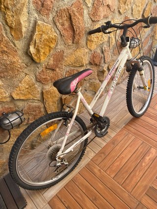Bicicleta montaña Stylin 21 velocidades