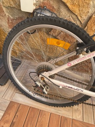 Bicicleta montaña Stylin 21 velocidades