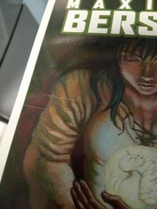 Maximum Berserk 1-10 + extras