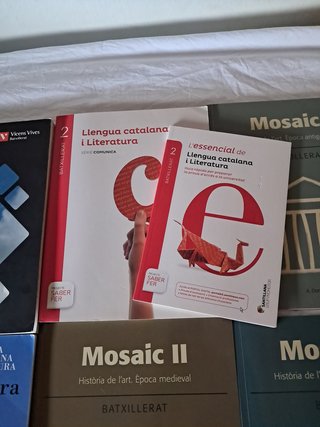 Libros bachillerato Castellano, Catalán, História