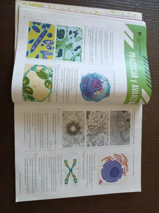 Biología y Geología 4, Secundaria, Fanfest Edel...