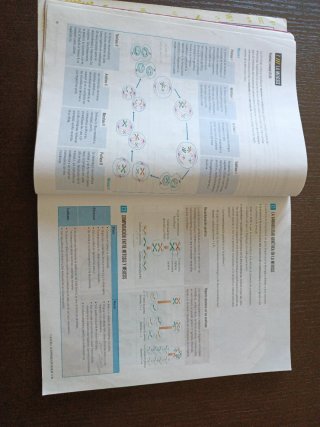 Biología y Geología 4, Secundaria, Fanfest Edel...