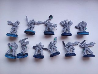 Lobos Espaciales Warhammer 40k