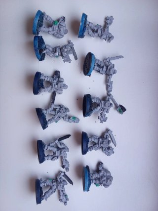 Lobos Espaciales Warhammer 40k