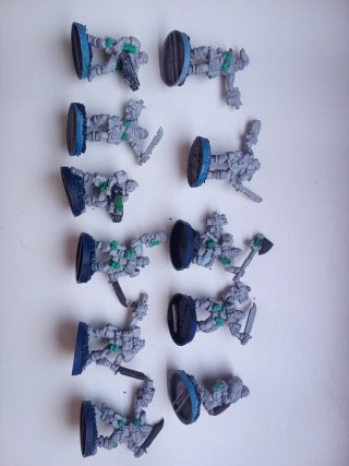Lobos Espaciales Warhammer 40k