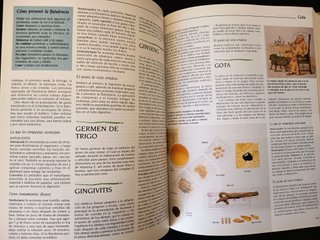 Diccionario de las Medicinas Naturales