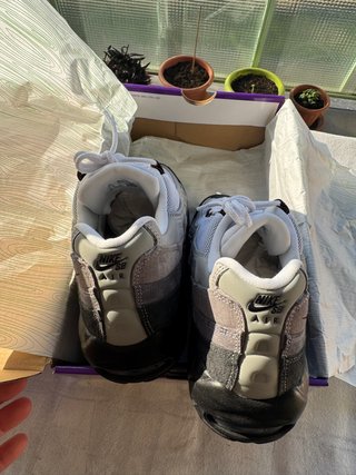 Nike Air Max 95 SB Cacao Wow Tg 44