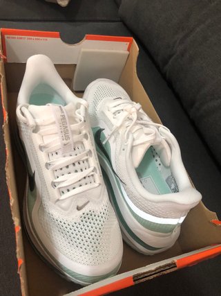 Nike Pegasus Premium 40,5