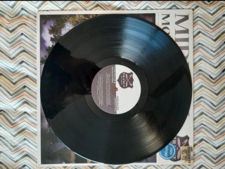 Vinilo Midway Monkey Forest Trance