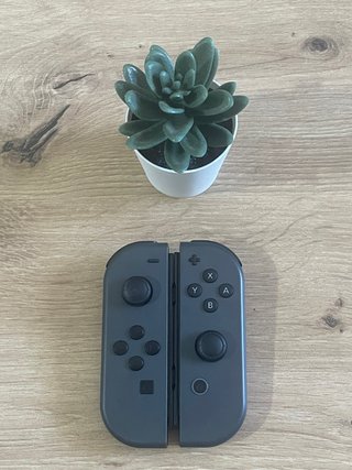 Mandos Nintendo Switch Joy-Con