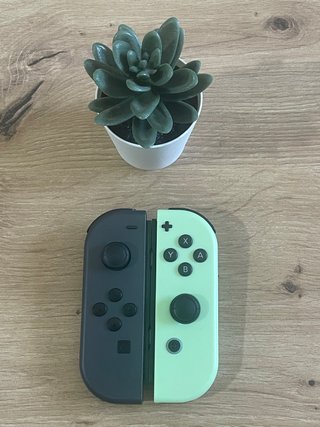 Mandos Nintendo Switch Joy-Con