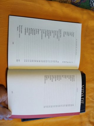 El Sentido de Las Cosas // Vida de Sócrates