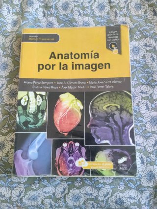 Lote de libros
