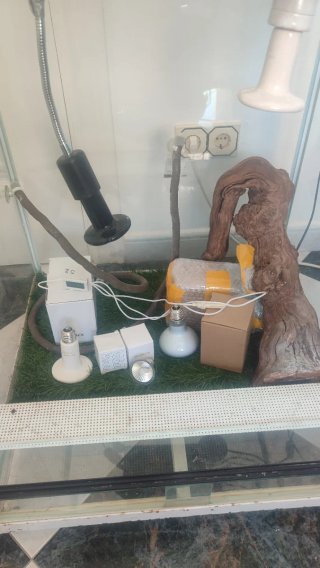 Terrario para reptiles