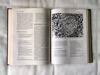 Libro Infecciones Obstétricas 1985