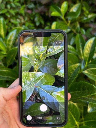 iPhone 13 100% Batería