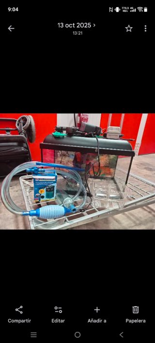 Pecera con accesorios