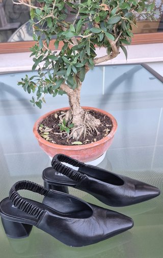 Zapatos Larosetta Negros Mujer