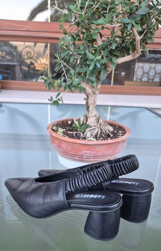 Zapatos Larosetta Negros Mujer