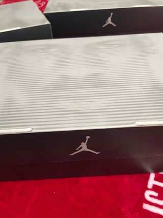 Air Jordan 12 Retro Bloodline T40