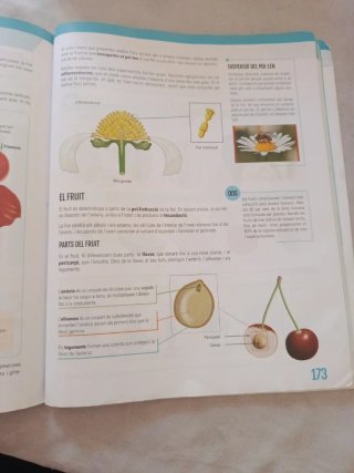 Biologia i Geologia I, ESO, Secundària, D'una a...