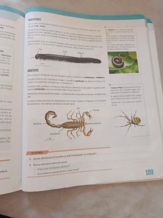 Biologia i Geologia I, ESO, Secundària, D'una a...