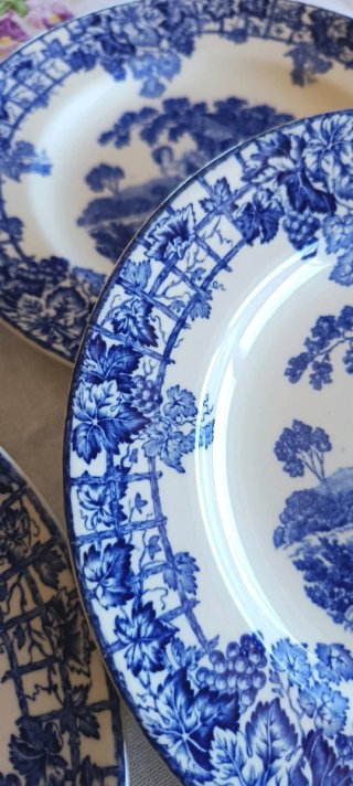 4 piatti Spode Byron 1955