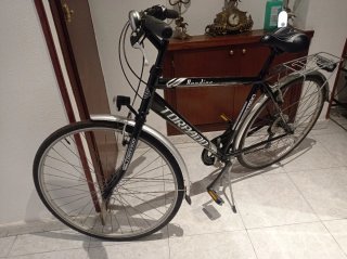Bicicleta de paseo
