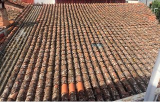 Tejas Árabes Antiguas - 3500 Unidades
