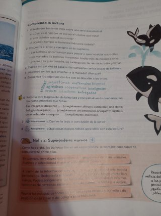 Lengua 6 Primaria : Operación Mundo
