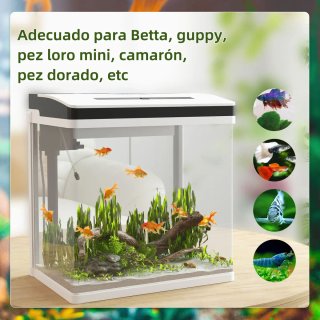 Acuario 28L Cristal Pecera Pequeña