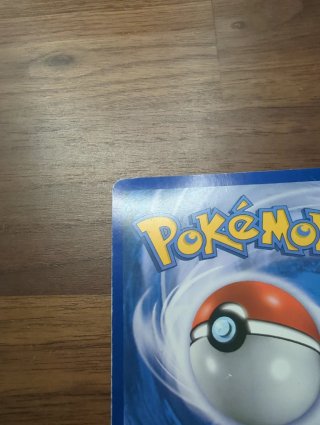Carta Pokémon Pikachu Rumble Lv.16