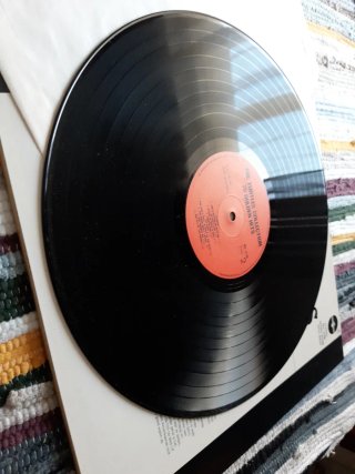 Vinilo The Turtles - 20 Golden Hits