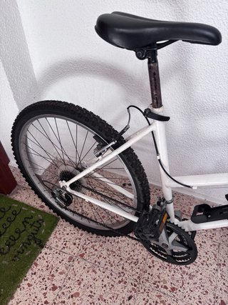 Bicicleta blanca