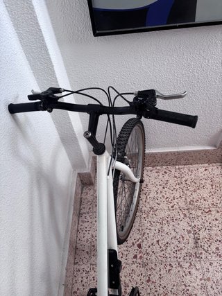 Bicicleta blanca
