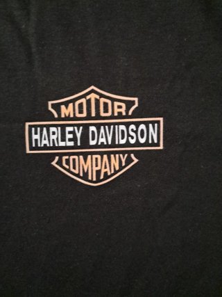 Camiseta Harley Davidson Motor Cycles