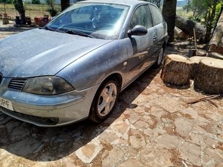 Seat ibiza 6l