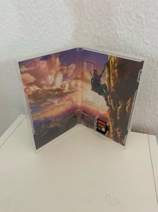 The Legend of Zelda: Breath of the Wild Switch