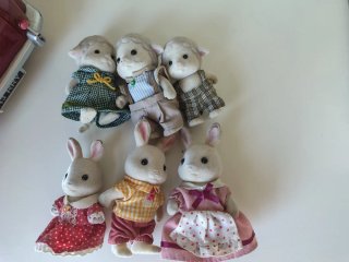 Coche y Tienda Sylvanian Families